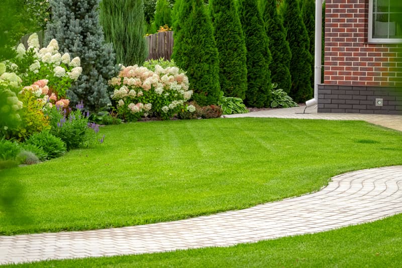 Jardinería Anfer, más de 17 años de experiencia como jardineros