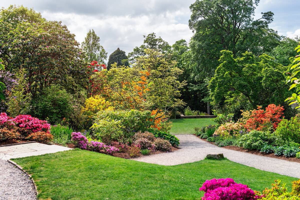 ¿Cuáles son los servicios que ofrecemos como Jardinería Anfer?