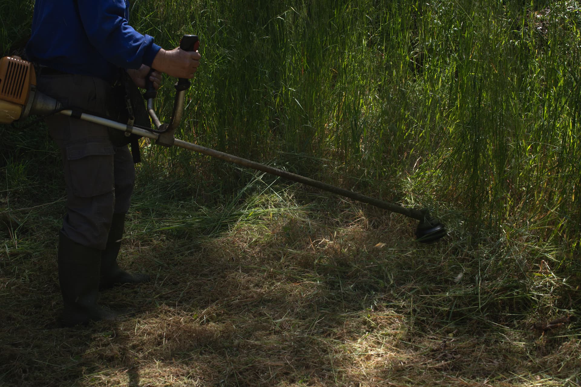 Desbroces terreno en Ourense