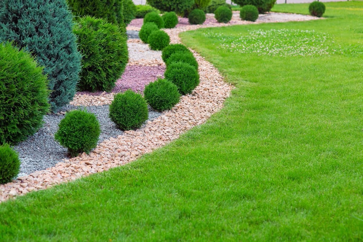 Jardinería Anfer, más de 17 años de experiencia como jardineros