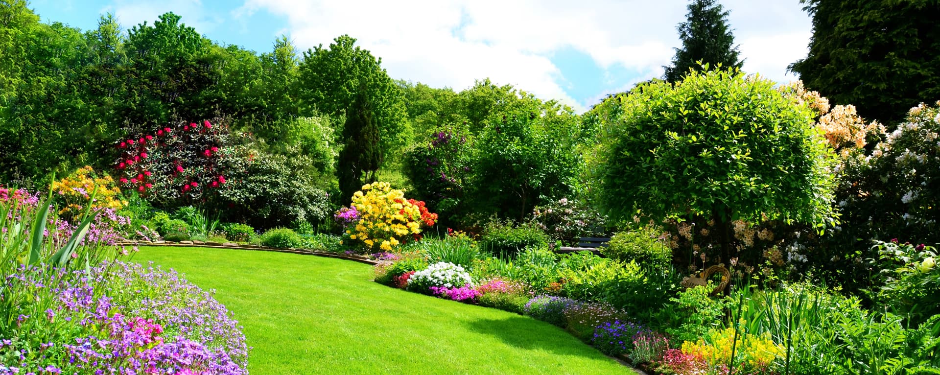 Creamos el jardín que siempre has soñado