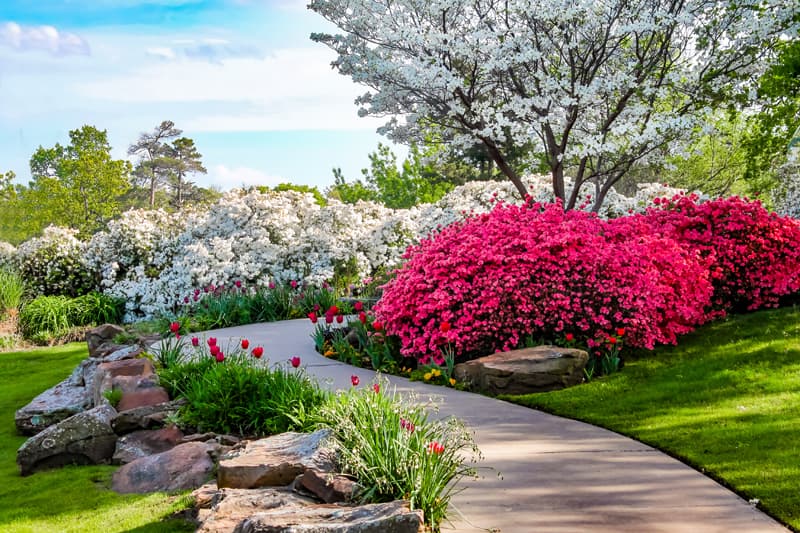 ¿Quieres un jardín de revista? Nuestros jardineros lo harán realidad