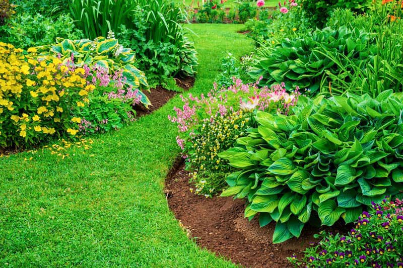 Puesta a punto de jardines en Ourense
