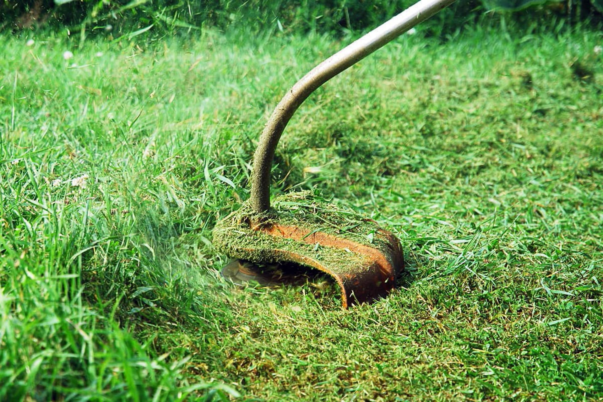  ¿Necesitas limpiar una finca en Ourense?