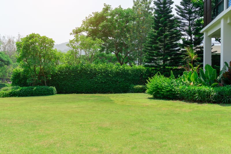 Todo lo que te ofrecemos en Jardinería Anfer
