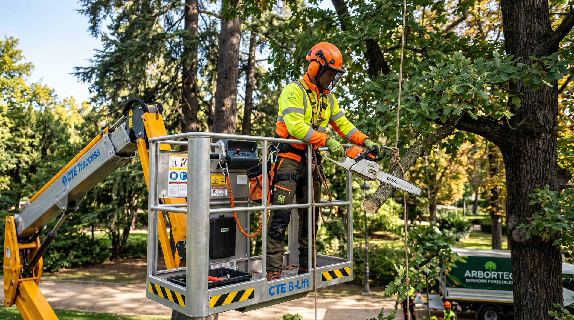 Empresa de poda en altura en Ourense