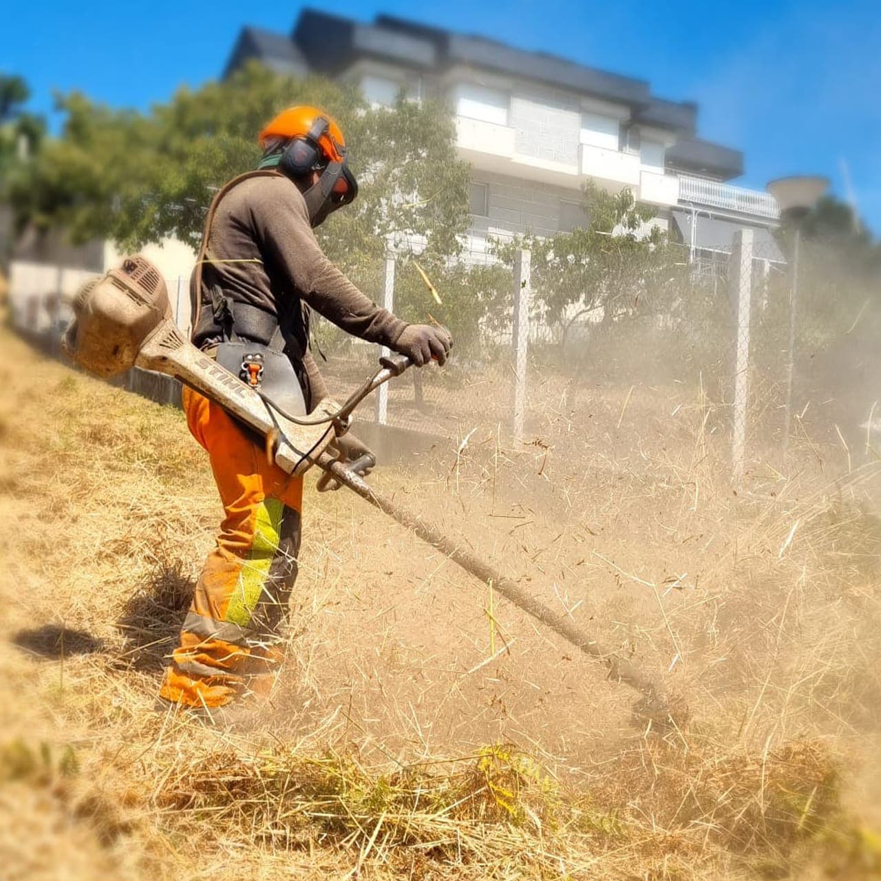 Desbroces terreno en Ourense