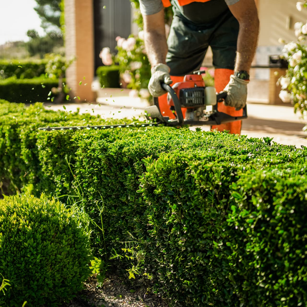  Otros servicios de nuestra empresa jardinería en Ourense