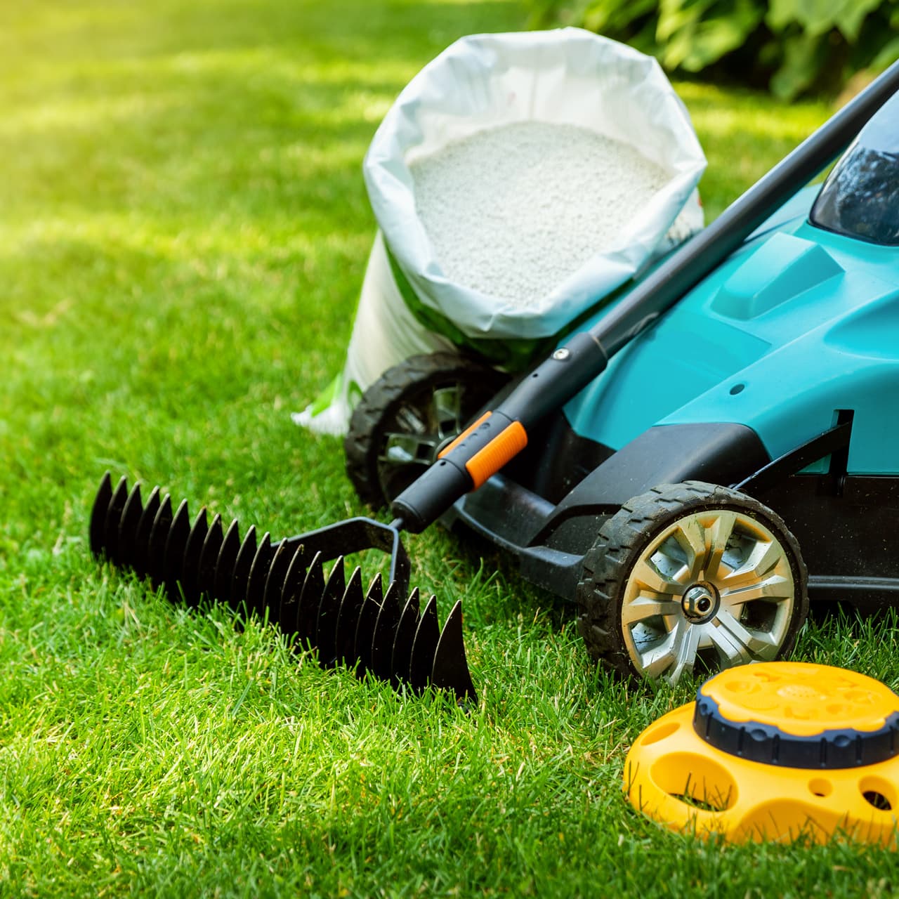 Descubre nuestro amplio abanico de servicios de jardinería en Ourense