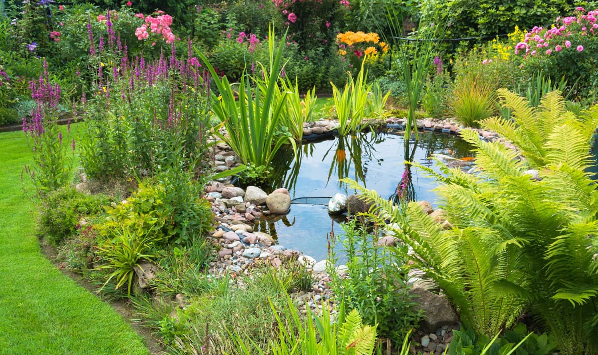 Todo lo que te ofrecemos en Jardinería Anfer