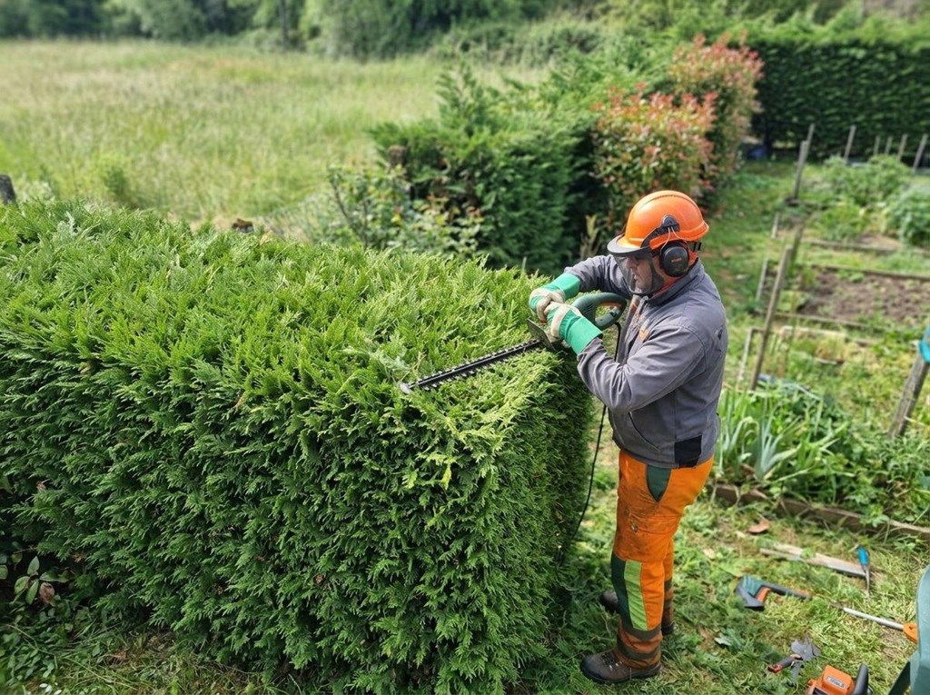 Foto 1 Servicio estacional de perfilado de setos en primavera y otoño/invierno en Maceda